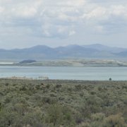 MonoBasin 217 : MonoBasin